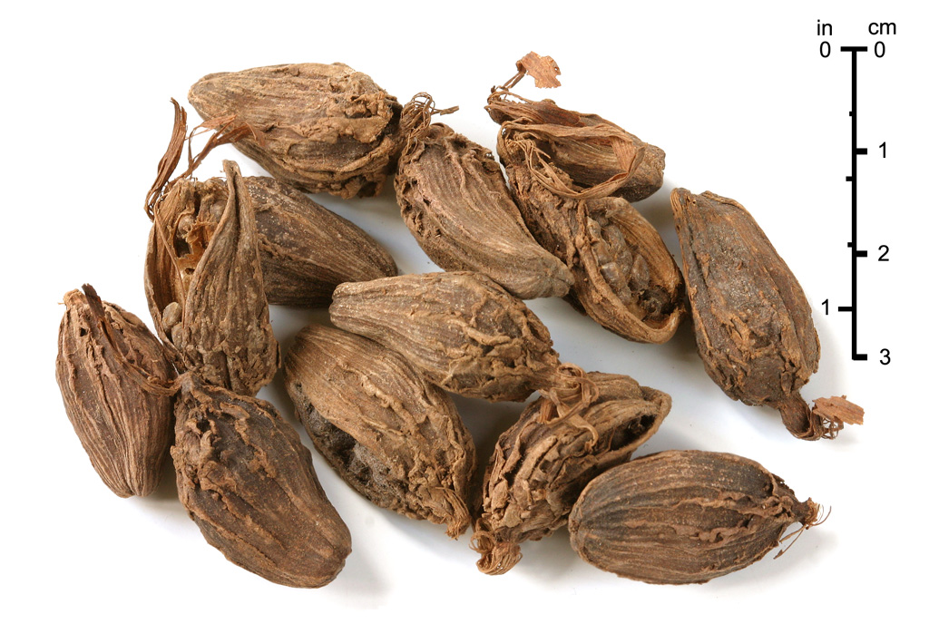 Black Cardamom (Badi Elaichi)