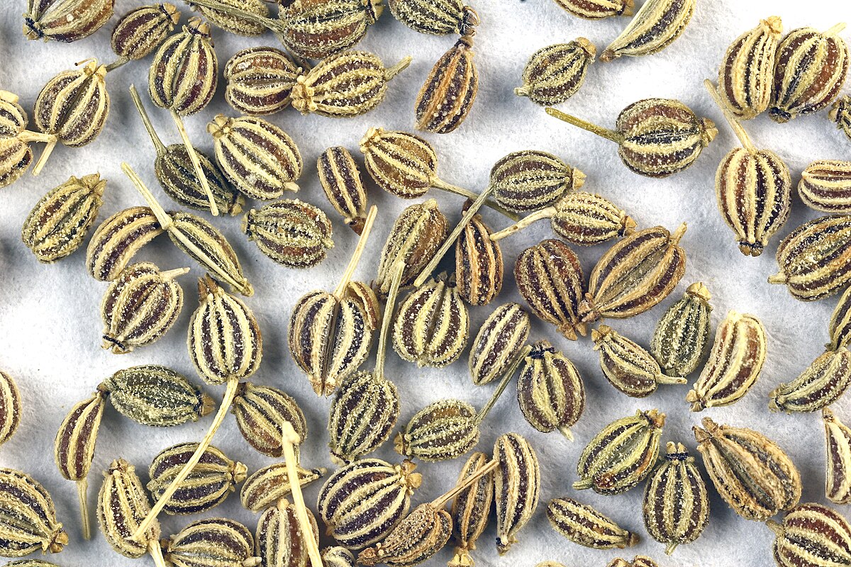 Carom Seeds (Ajwain)