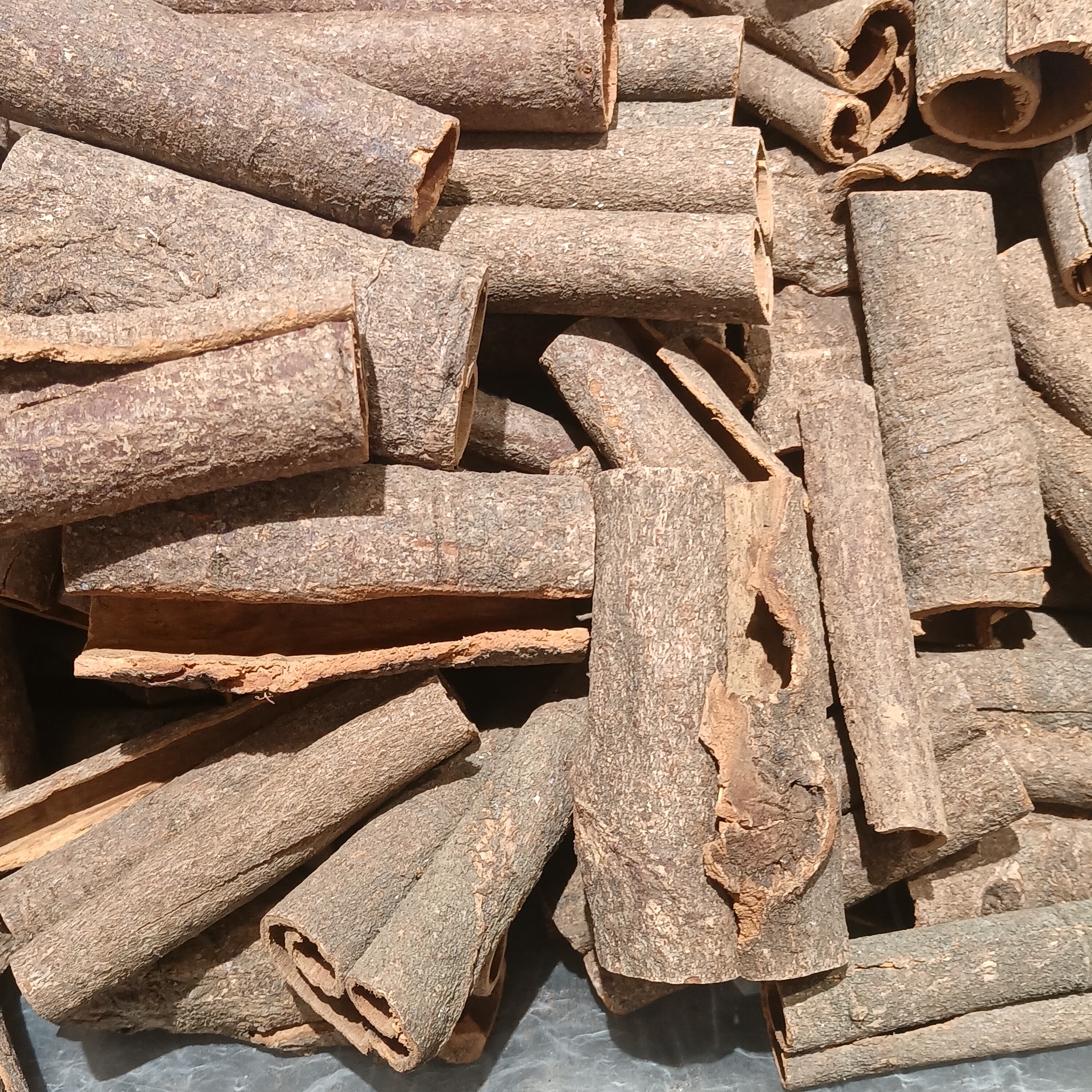 Cinnamon (Dalchini)