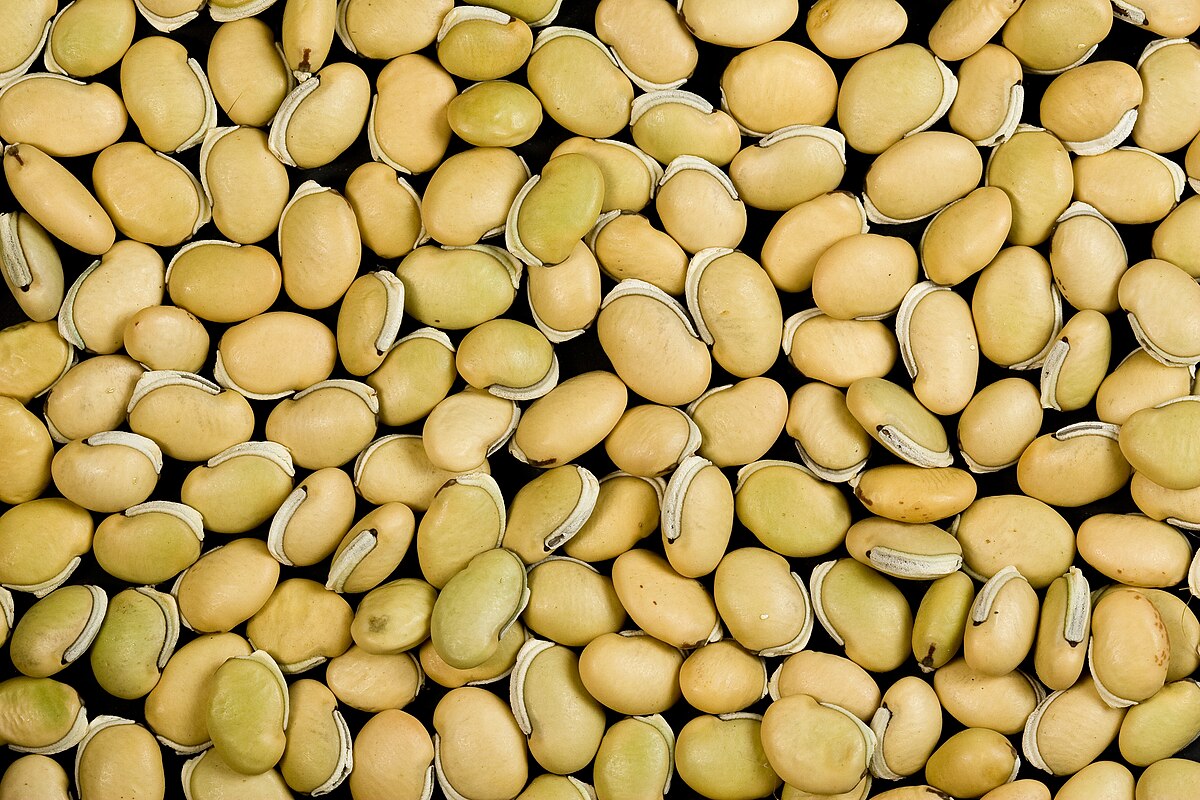 Field Beans / Val