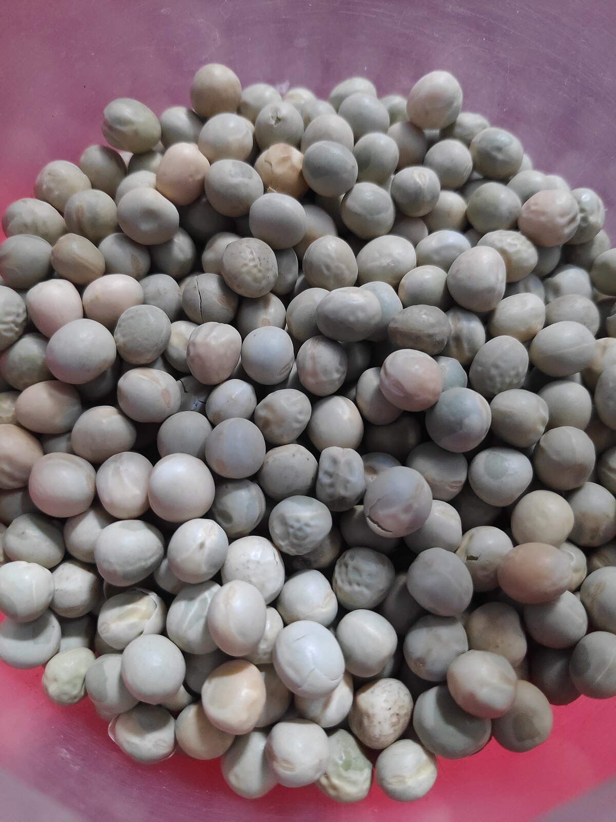 Green Peas