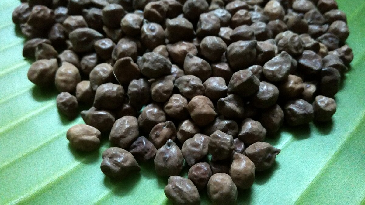 Kala Chana