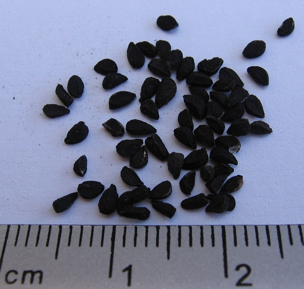 Nigella Seeds (Kalonji)