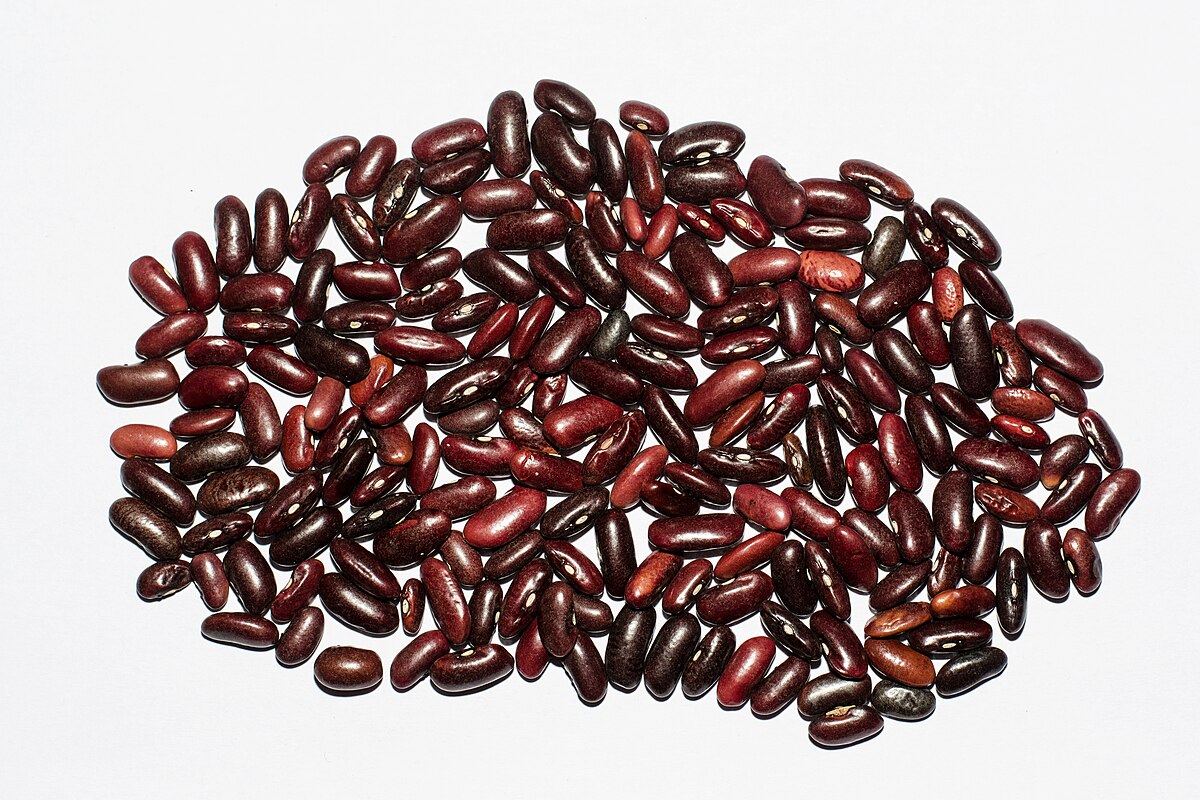 Rajma