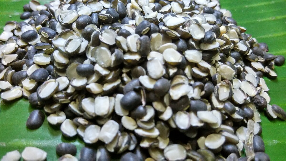 Sabut Urad
