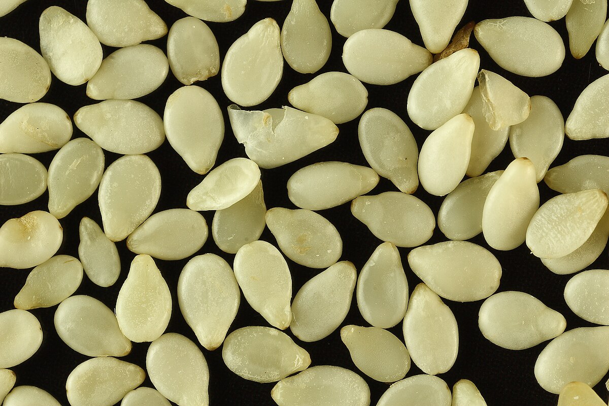 Sesame Seeds (Til)