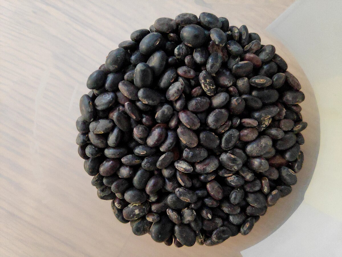 Soyabean
