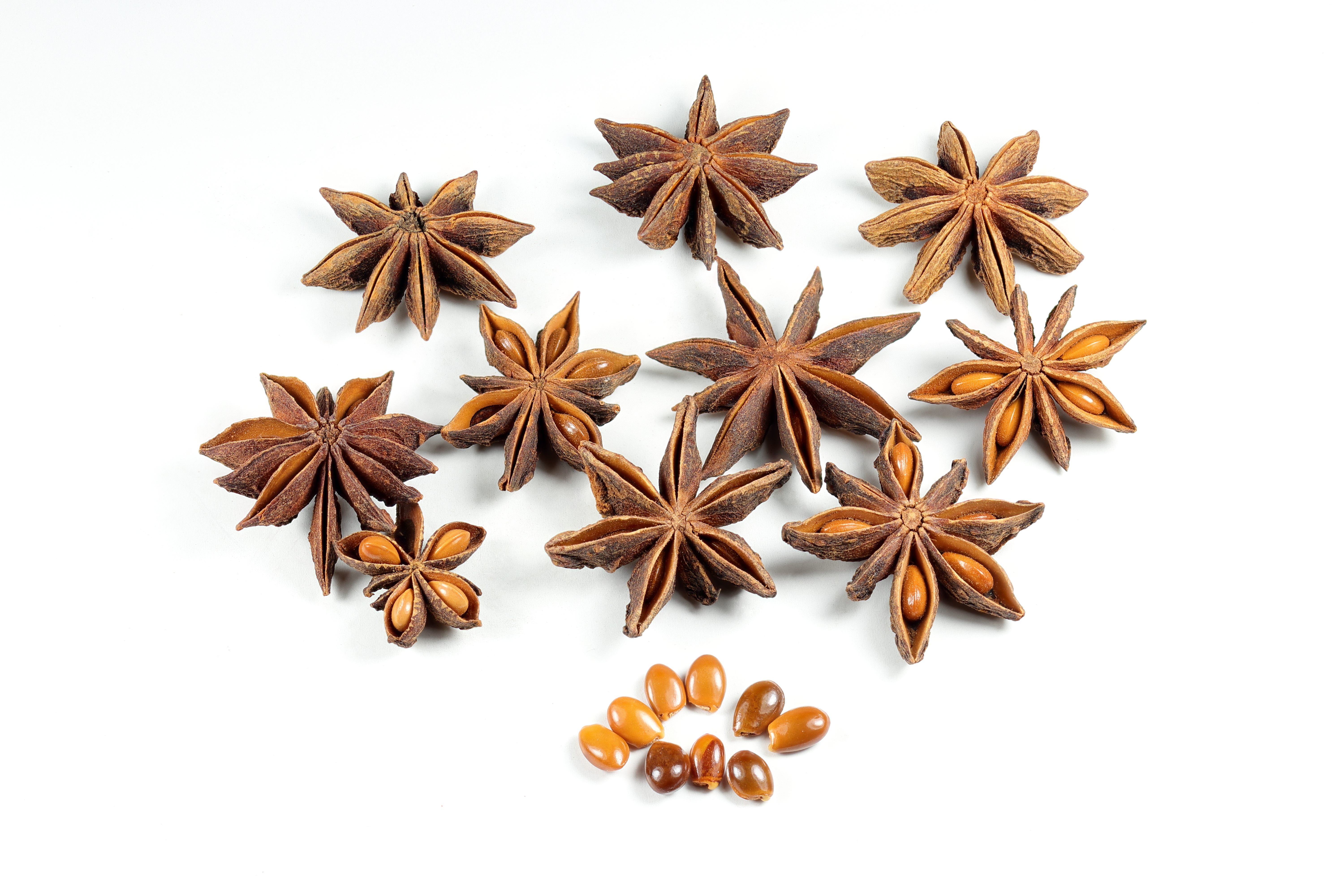 Star Anise (Chakra Phool)