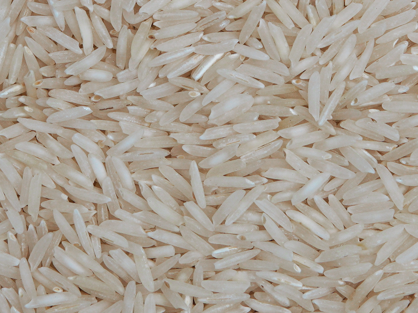 Organic Rice
