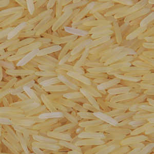 1509 Golden Parboiled Basmati Rice