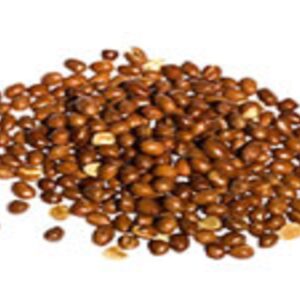 Bambara Beans