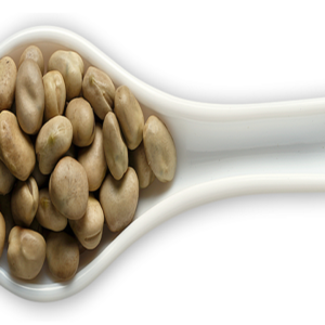 Broad beans (Faba beans)