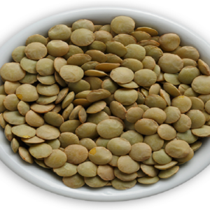 Large green lentils