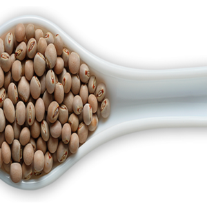Pigeon Peas